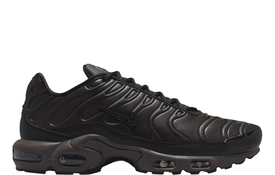 Nike Air Max Plus "Paris"