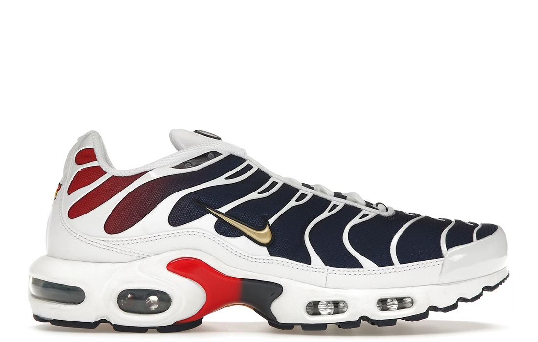 Nike Air Max Plus "PSG"