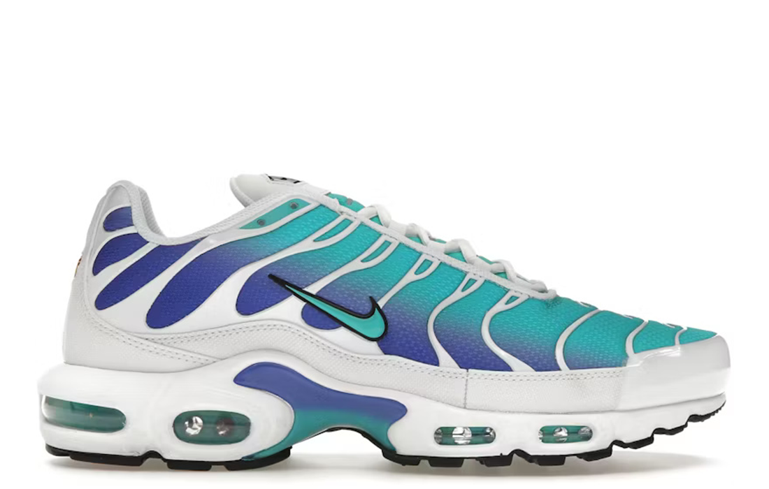 Nike Air Max Plus "Aqua"