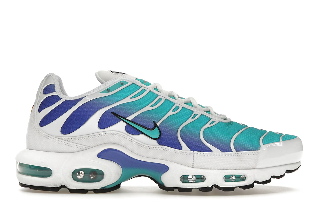 Nike Air Max Plus "Aqua"